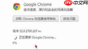 谷歌浏览器怎么检查更新-升级谷歌浏览器版本十分必要